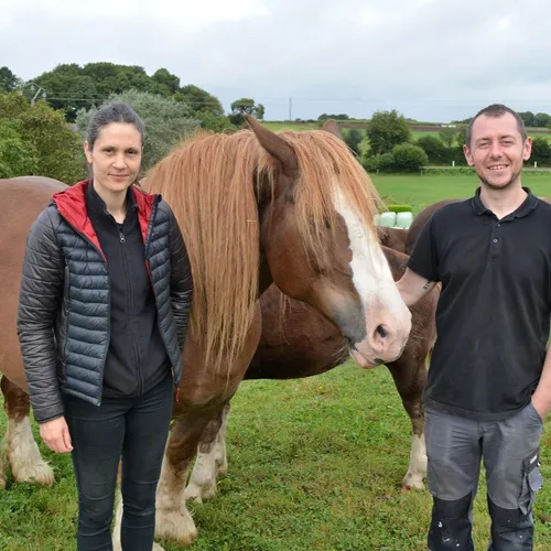 Jumenterie de Cornouaille